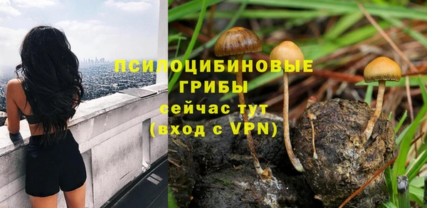 a pvp Коряжма