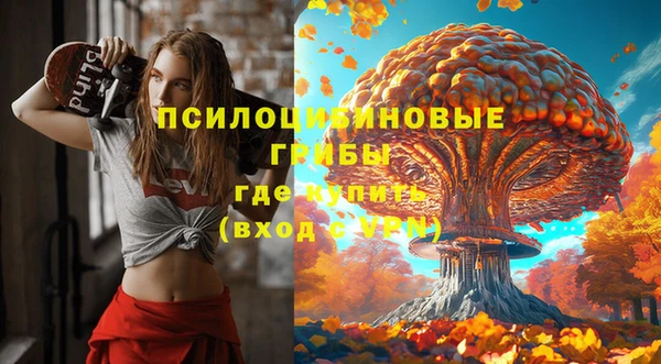 соль курить ск Алзамай