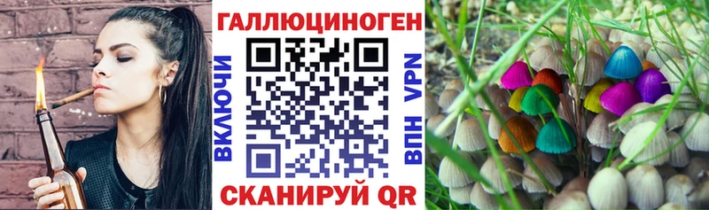 Псилоцибиновые грибы ЛСД  Дрезна 